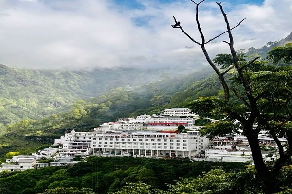 ambala to katra cabs
